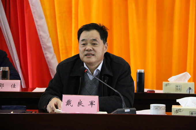 集團黨委委員、副總經理、總工程師戴良軍發表講話